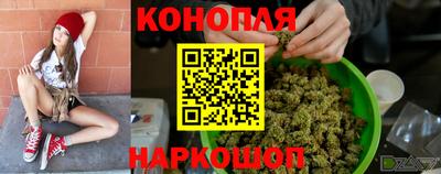 прущие грибы Моздок