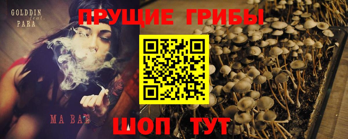 Галлюциногенные грибы Psilocybine cubensis  Вход с VPN  Трёхгорный 